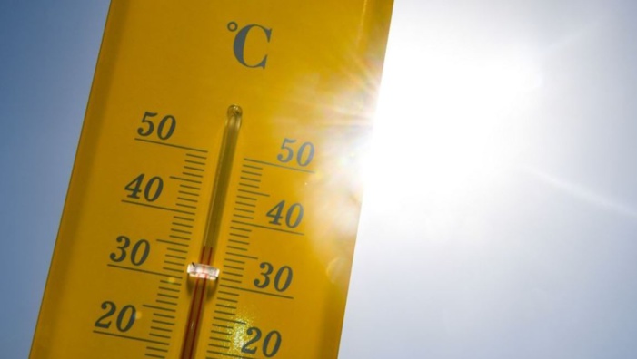 Météo : un hiver très doux et des records de chaleur battus en Corse