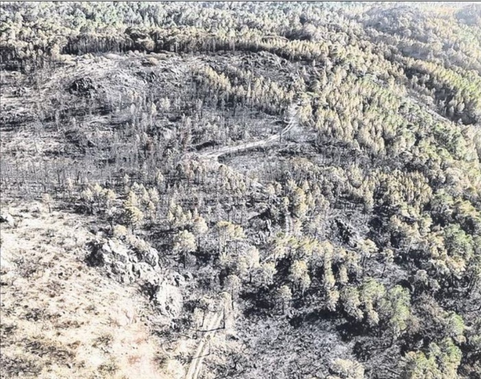 Incendies : la lutte continue entre Bavella et U Sulaghju