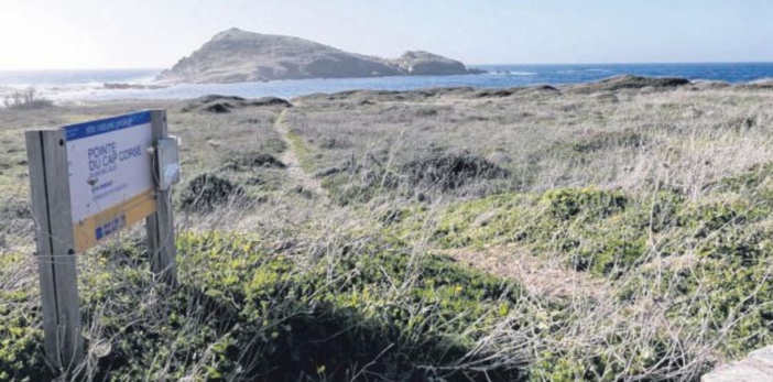 Le plan de l'îlot de Centuri se donne les moyens de son succès