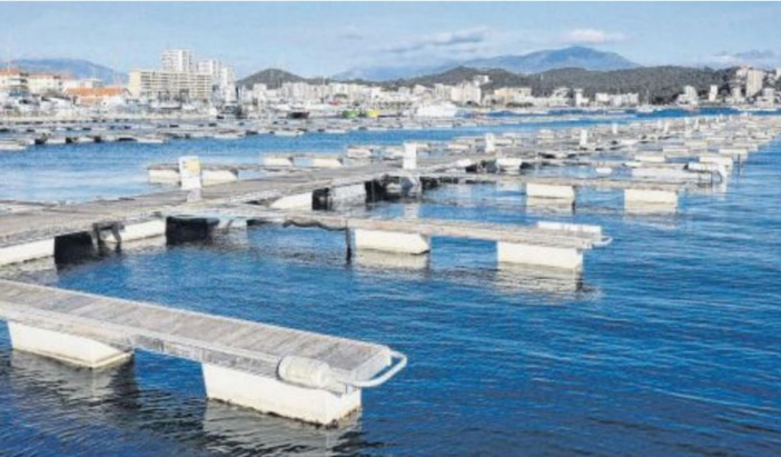Le port Charles-Ornano paré à faire peau neuve