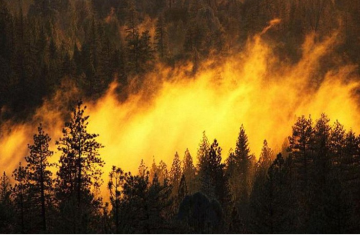Coup de vent prévu : risque important d’incendie en Corse en fin de semaine 