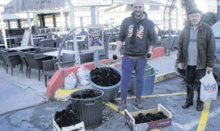 La saison de la pêche aux oursins bat son plein dans le Valinco