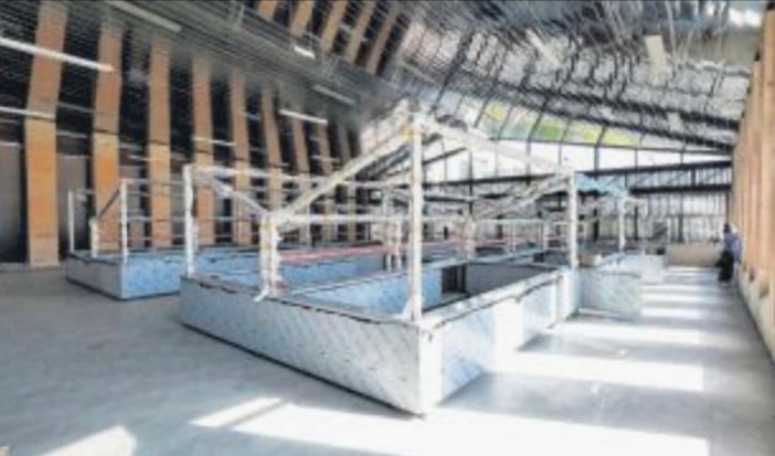 Huit bancs pour sept exploitants de la halle aux poissons