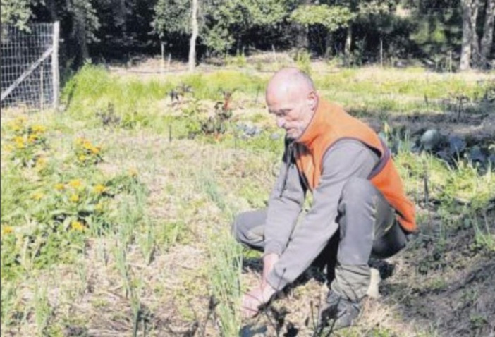 Cultiver avec la seule aide de la nature en permaculture