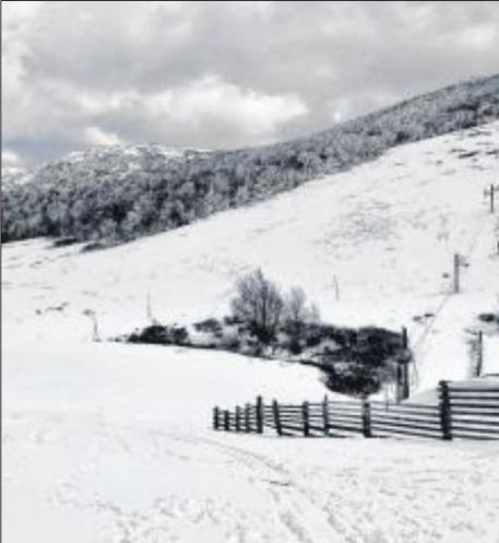  Enfin des chutes de neige sur le plateau d'Ese 