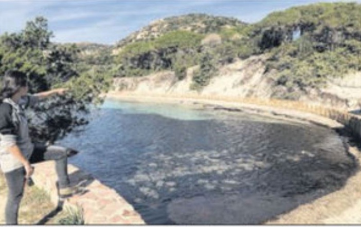 Le Conservatoire du Littoral au chevet de la dune de Tamaricciu