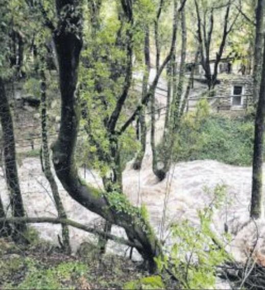 A Cupulatta et ses tortues victimes des intempéries