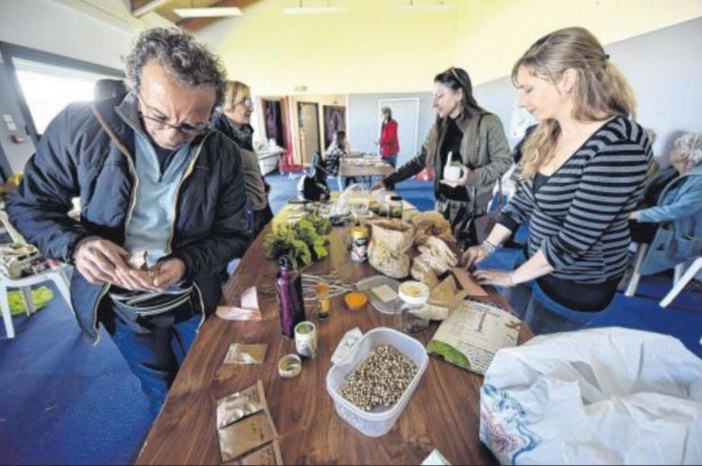 Journée du troc et des graines avec Paese d'Avvene