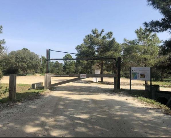  La forêt de Pinia totalement fermée