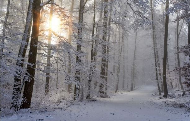 Corse : Vigilance jaune neige-verglas mercredi et jeudi