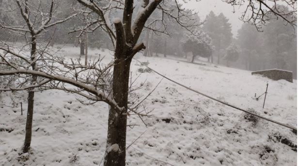 Météo : la neige au rendez-vous en Corse 