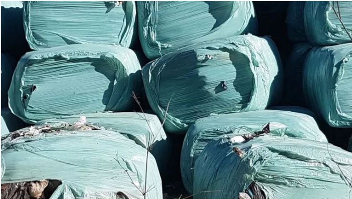 Gestion des déchets en Corse : la crise dans la crise