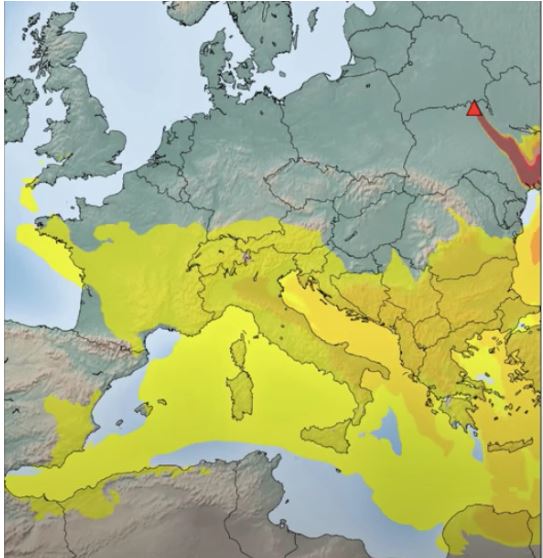 Incendies près de Tchernobyl : la radioactivité en Corse "extrêmement faible" 