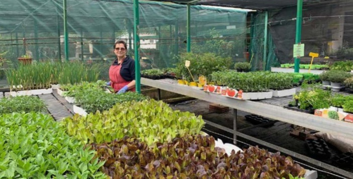 Les légumes du soleil à planter dès maintenant