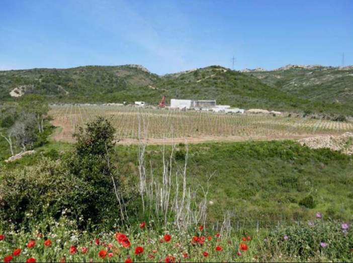 Crus et cépages prennent de la bouteille