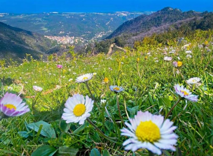 CERVIONI  La Scupiccia version printemps
