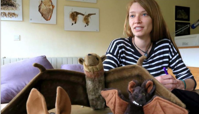 Chauve-Souris : plaidoyer pour une persécutée