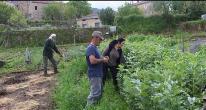  Les jardins solidaires s'adaptent
