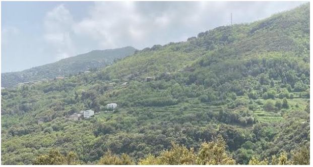 Corse : augmentation des particules fines en suspension