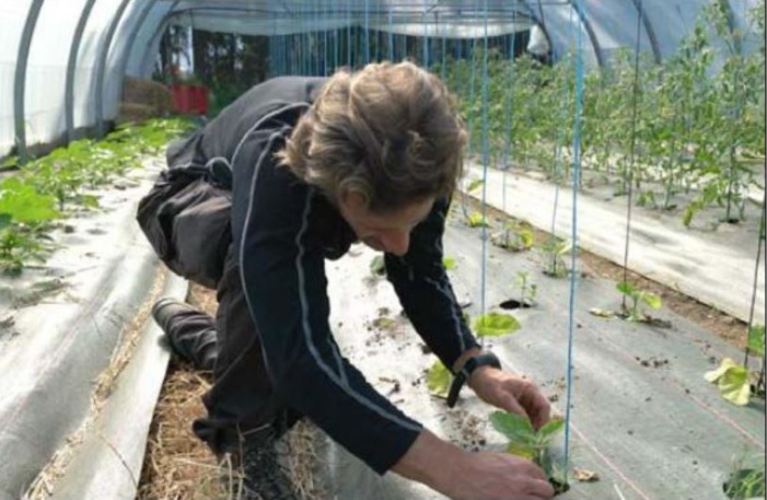 Le lycée agricole mise sur son atelier maraîchage