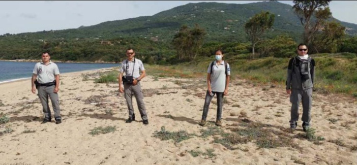Réouverture des Plages    Attention des oiseaux marins ont installé leurs nids