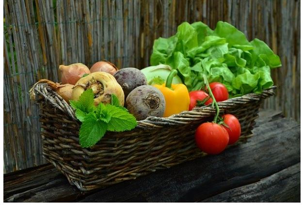 Le bio pourrait-il nourrir les Corses ? 