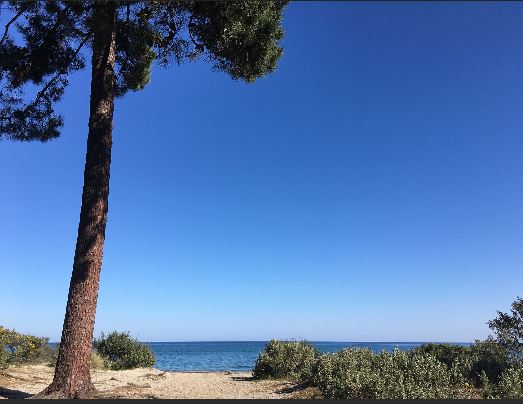 FIUM'ORBU CASTELLU ORIENTE  Rappel de règles à respecter sur les plages