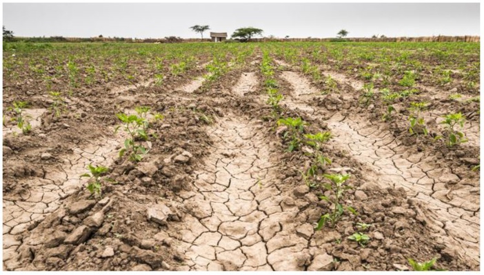 Assez d'eau pour passer l'été ?