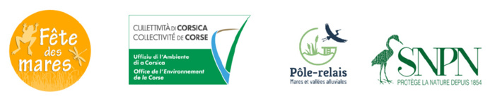 Festa di i pozzi 2020 Festa di i pozzi 2020