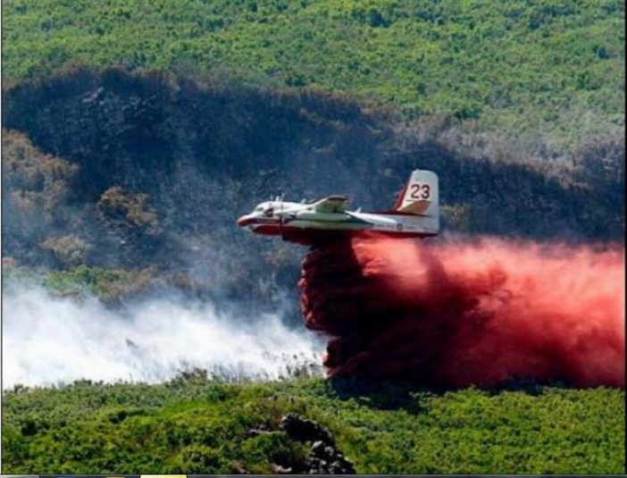 LUTTE CONTRE LES INCENDIES  Un été sans Tracker dans l'île