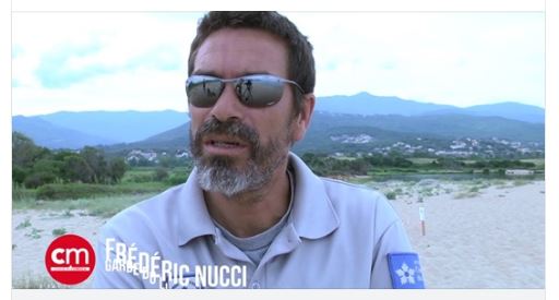 Attention aux oeufs sur les plages corses 