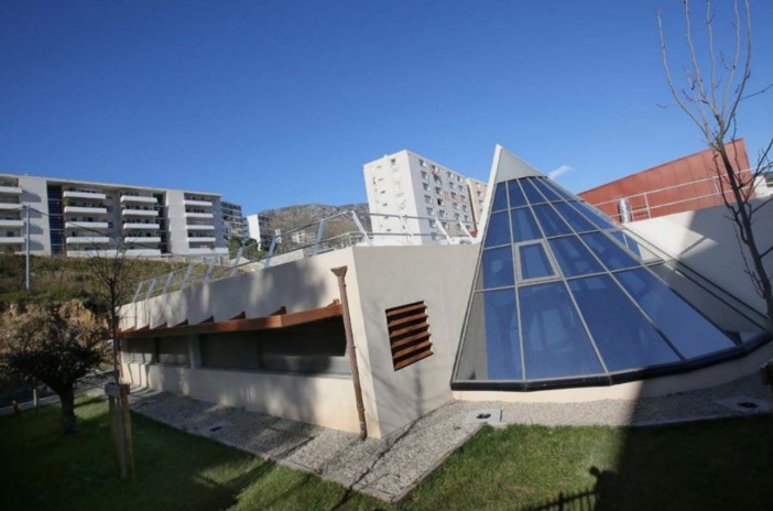 Maison des sciences : des visites guidées par petits groupes 