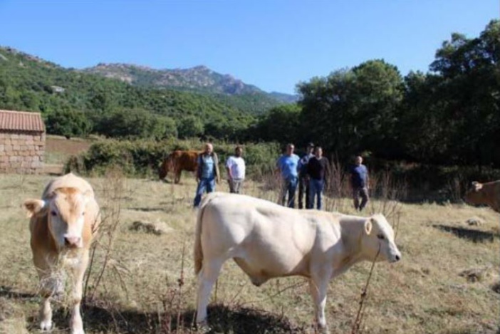 PORTIVECHJU  Promouvoir l'agriculture et l'élevage microlocaux