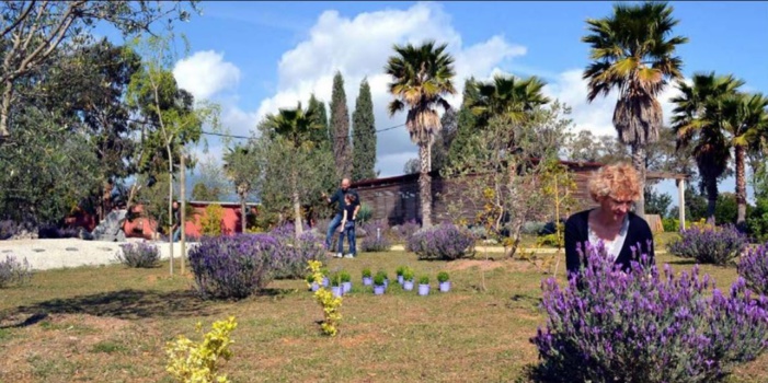  Sur les chemins du savoir