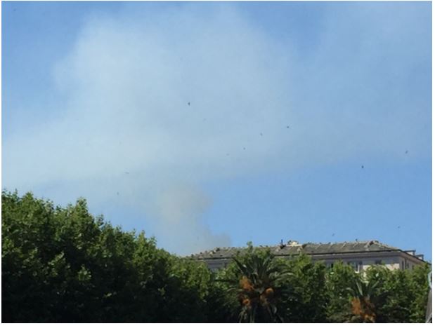 Santa Maria di Lota : brûlage dirigé en cours 