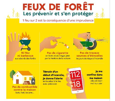 FEUX DE FORÊT   Les prévenir et s'en protéger  