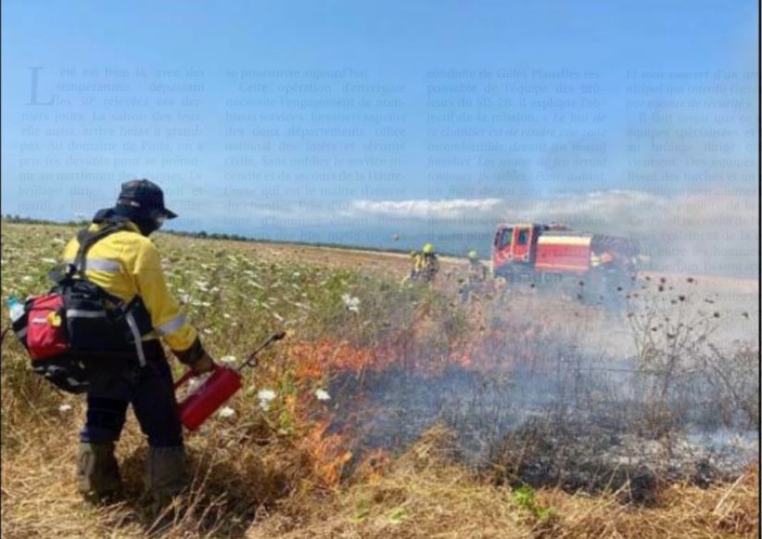 A GHISUNACCIA  Un brûlage dirigé pour protéger le domaine de Pinia