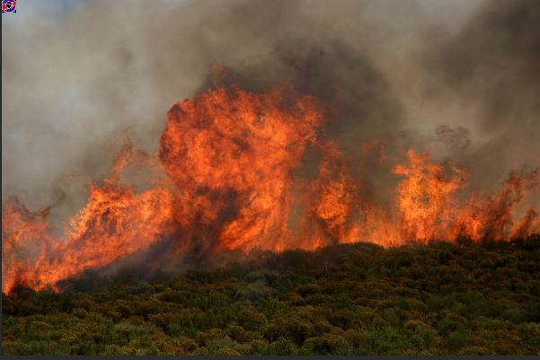 Feux de forêts : 300 militaires de la Sécurité civile déployés