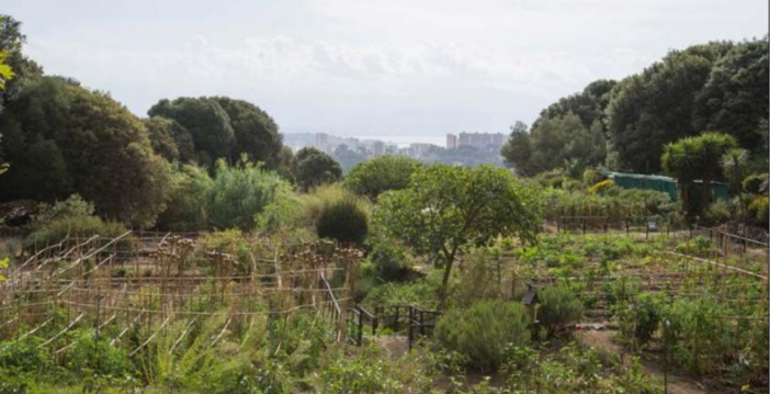 Umani : le moment est venu de cultiver son jardin