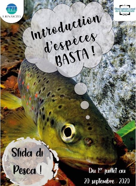 Biodiversité : Participez au challenge « Sfida di pesca » du 1er juillet au 20 septembre. 