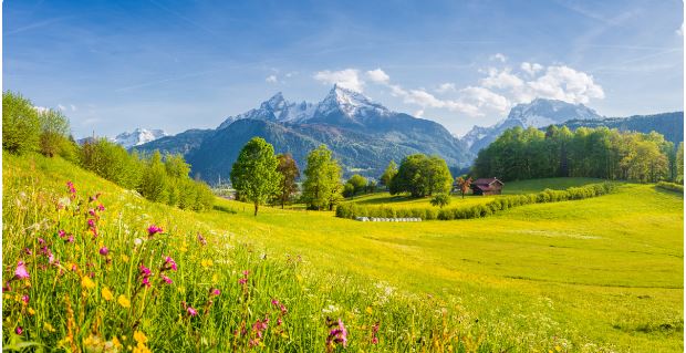 L'Office français pour la biodiversité publie 568 indicateurs