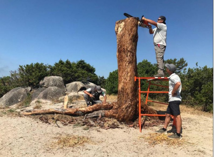 L'icône déchue de Palombaggia érigée en sculpture-totem