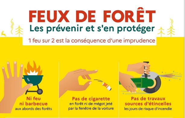 FEUX DE FORÊT Les prévenir et s'en protéger FEUX DE FORÊT Les prévenir et s'en protéger