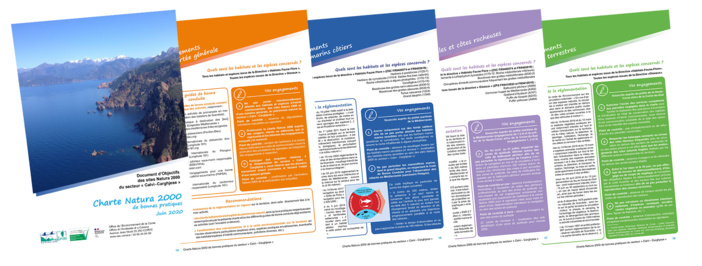 CHARTE NATURA 2000 DE BONNES PRATIQUES DU SECTEUR « CALVI - CARGHJESE »