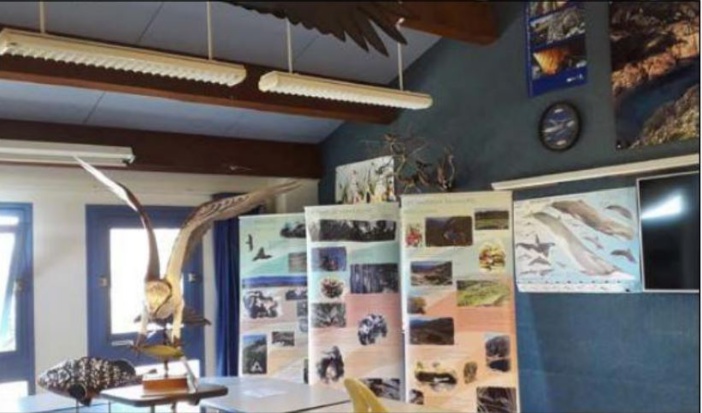 GALERIA Une exposition sur l'environnement durant tout l'été à la Casa marina