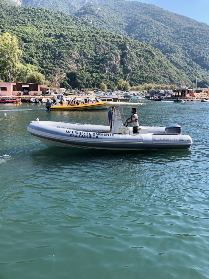 COMITE CONSULTATIF de la RN SCANDULA COMITE CONSULTATIF de la RN SCANDULA