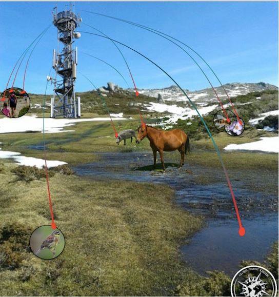 Global Earth Keeper lance une pétition contre l'installation des antennes 4 G sur le plateau du Cuscionu 