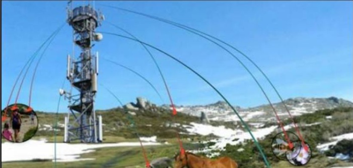 ALTA ROCCA Les antennes 4G face à la biodiversité