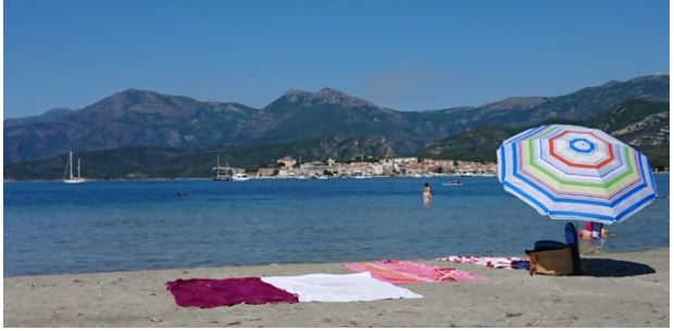 Opération nettoyage ce vendredi sur la plage la Roya de Saint-Florent 
