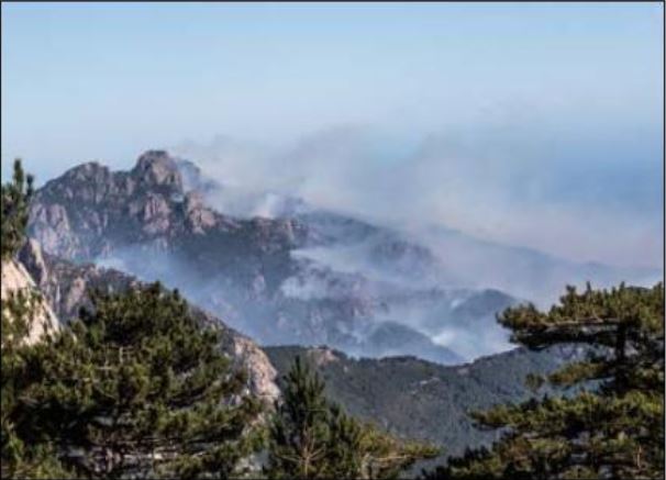 MÉTÉO  Avis de vent fort et massifs forestiers fermés